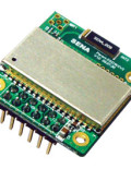 SENA Parani ESD100V2 Module Class 1, on-board chip antenna